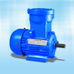 YB2 Series Explosion Proof Three Phase Asynchronous Motor