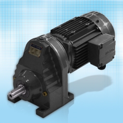 D Series Single stage helical Gear Motor